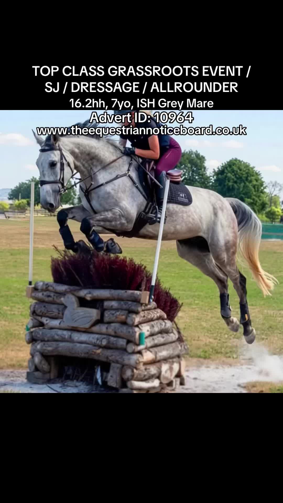 @theequestriannoticeboard