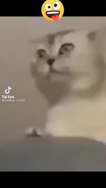 @R E A L Y N