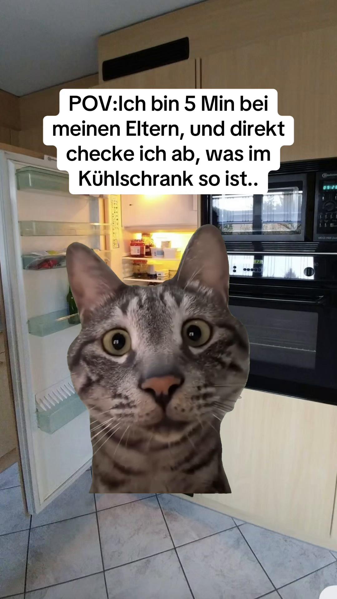 @Daymeme🫨