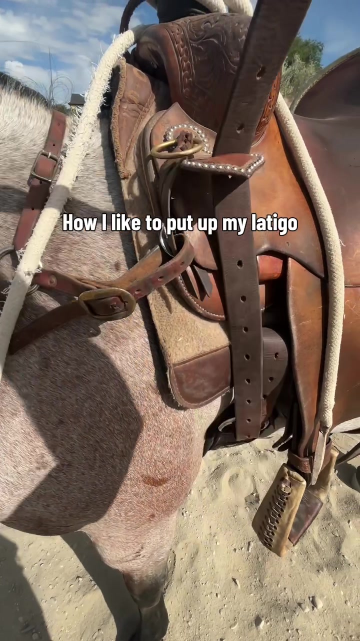 @wild.horsewoman