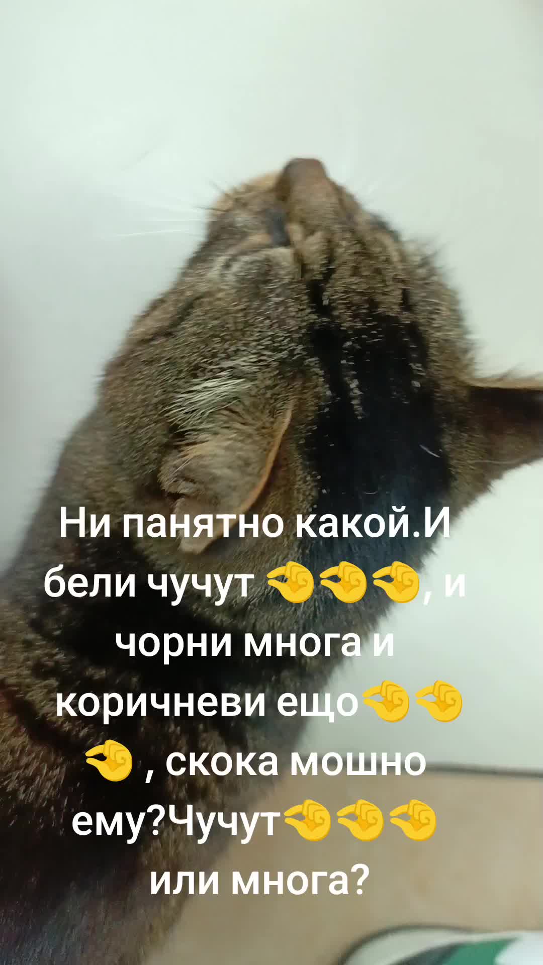 @semakina