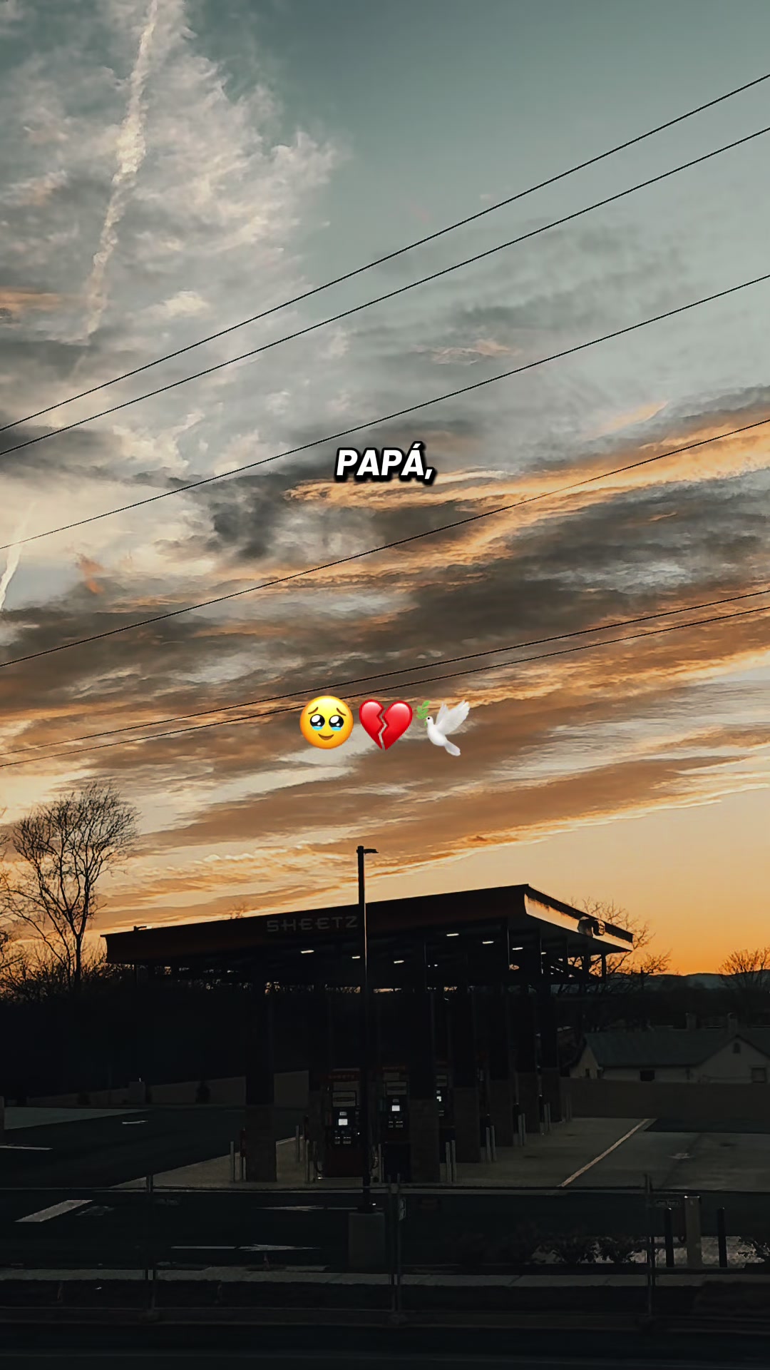@𓆩✦𓆪🖤🕯️🕊️𓆩✦𓆪