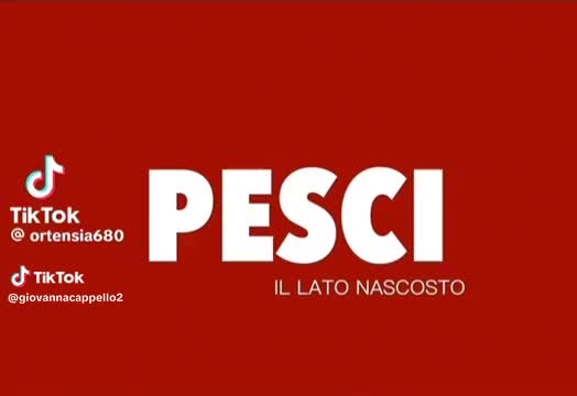 @Stefy 79