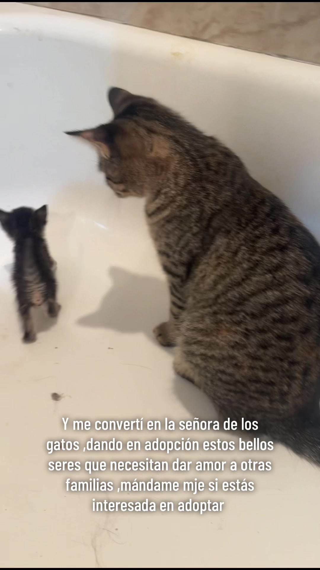 @sabordelnorte24