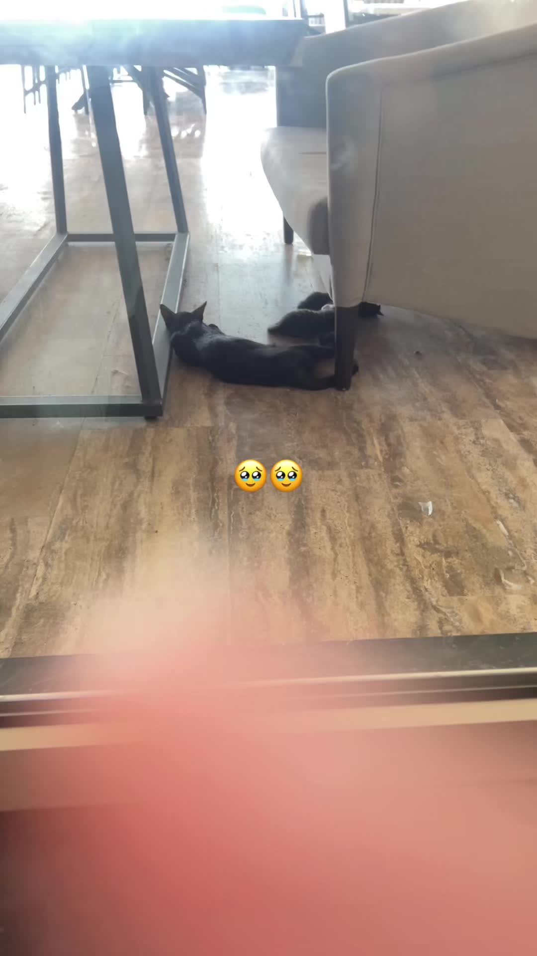 @𝐋𝐢𝐢 ꨄ
