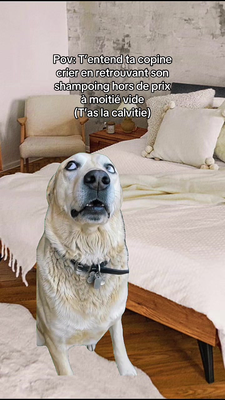 @MEMES DE COUPLE | AugustinLbrs