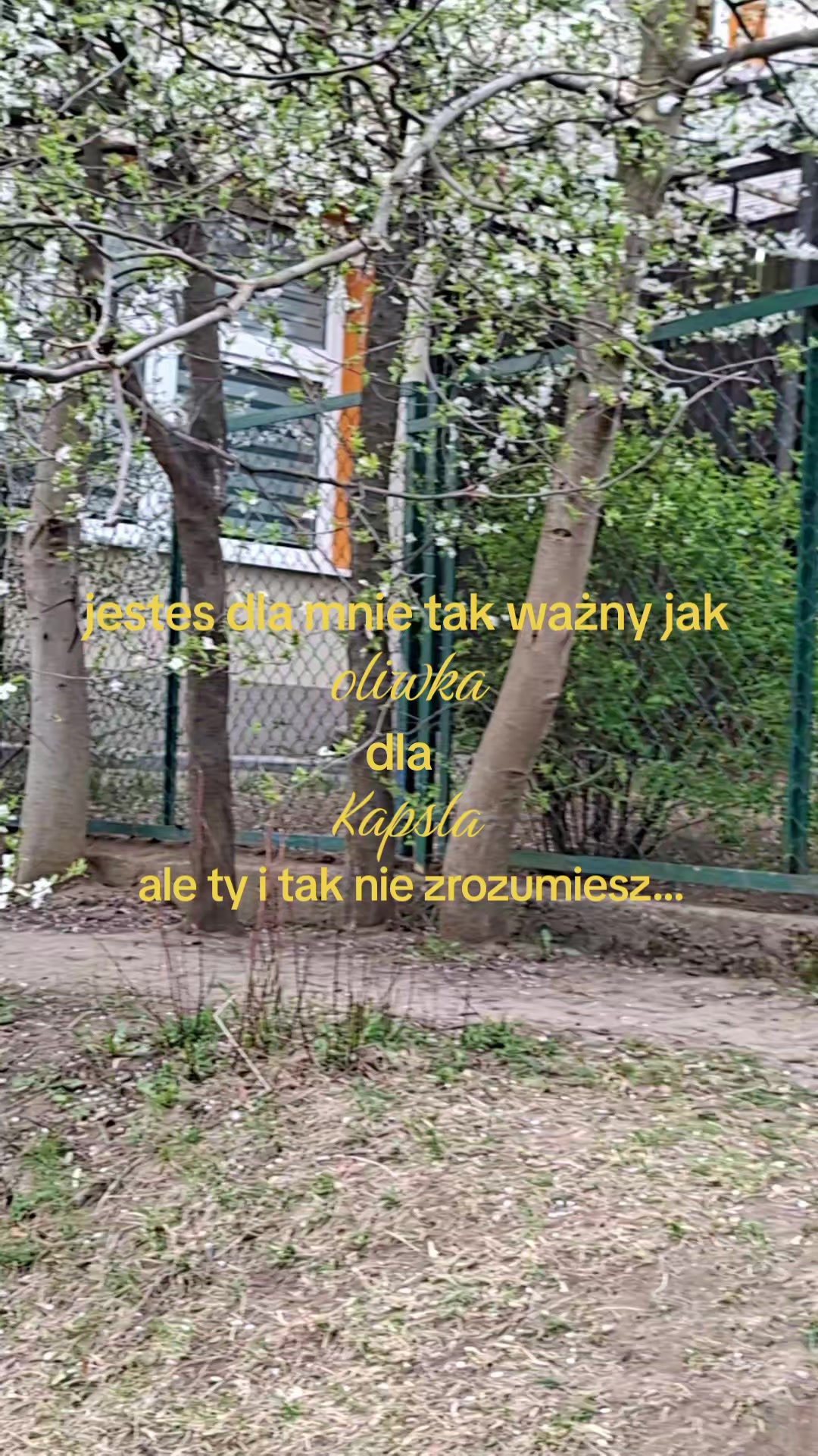 @ℒauruss