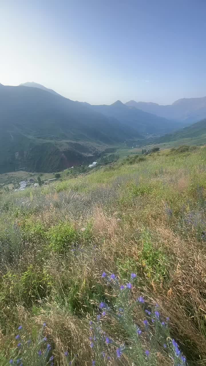 @Тоха
