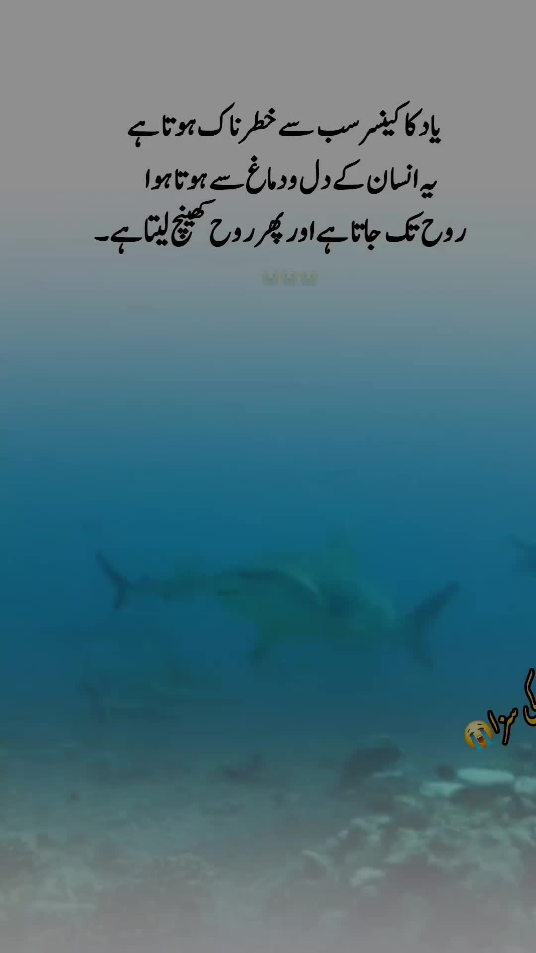 @😭عشق کی سزا 💔