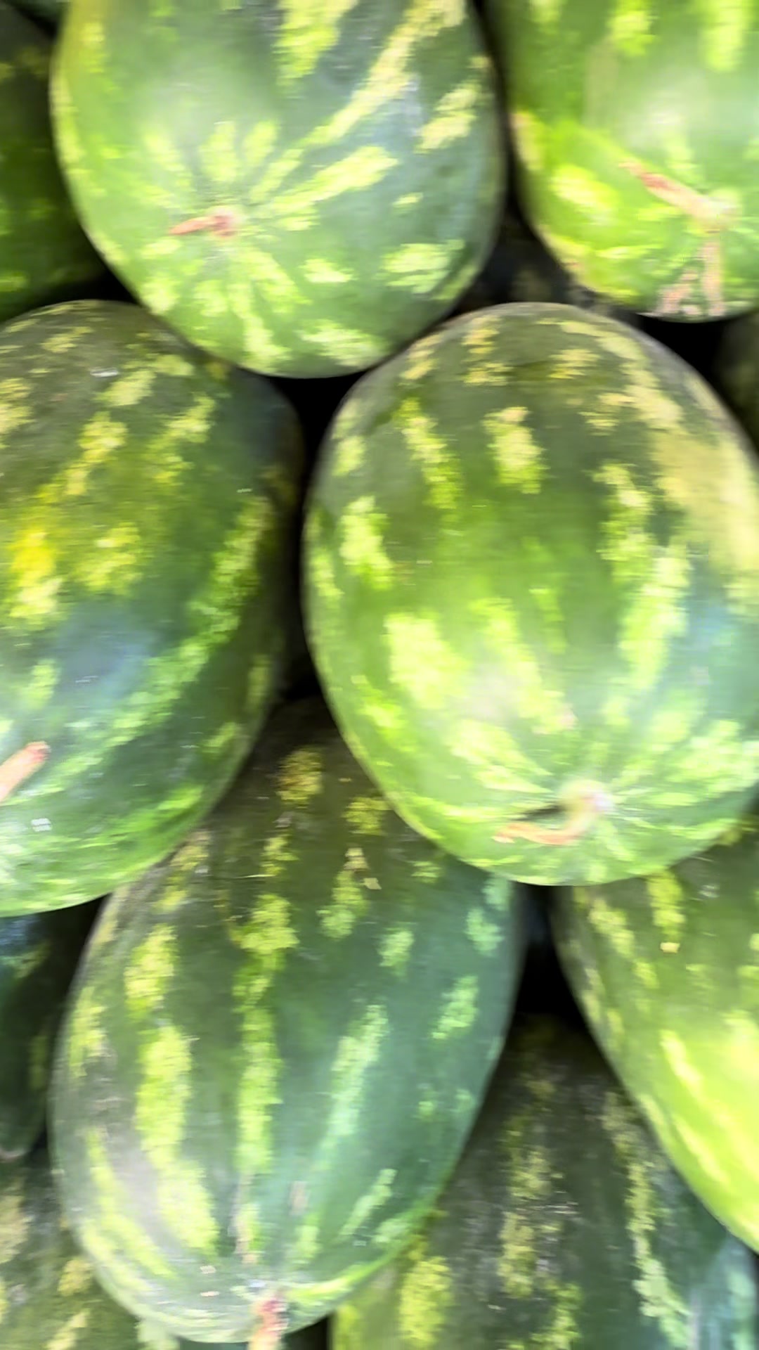 @Chioscodelleangurie🍉