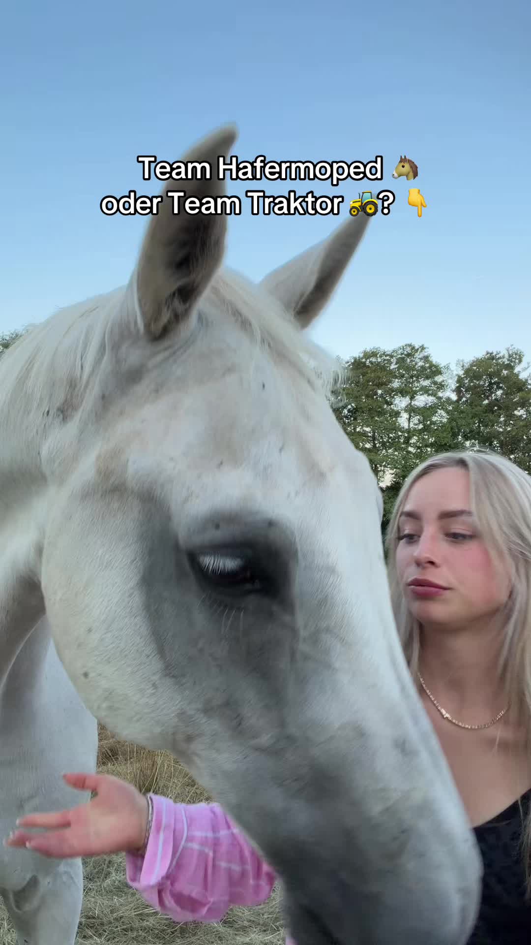 @Annikaleibold