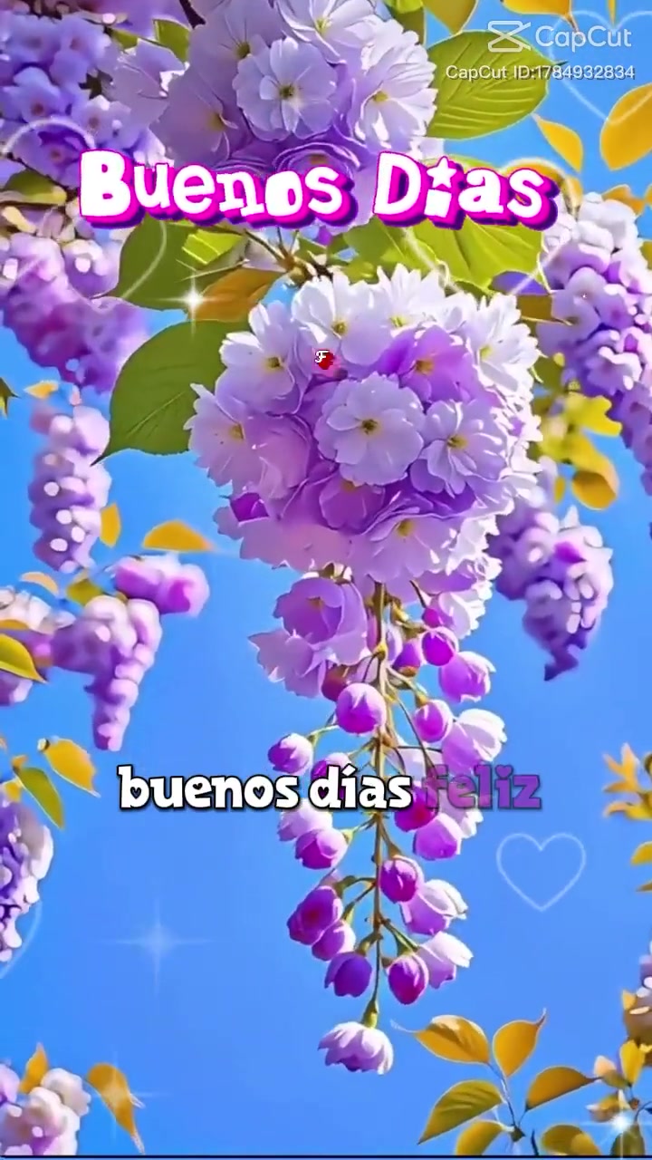 @JULIETTA AN