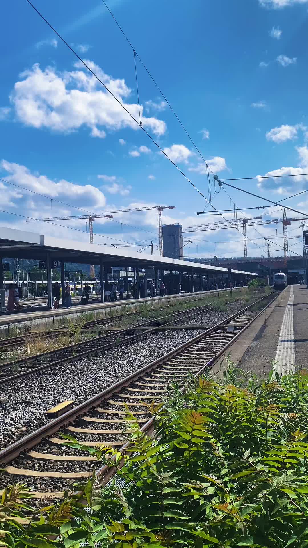 @trainspotterlevi