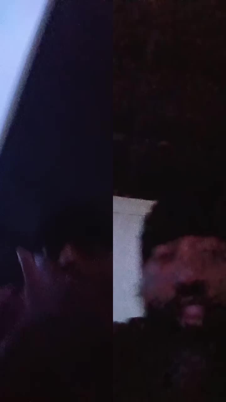 @Leon Williams237