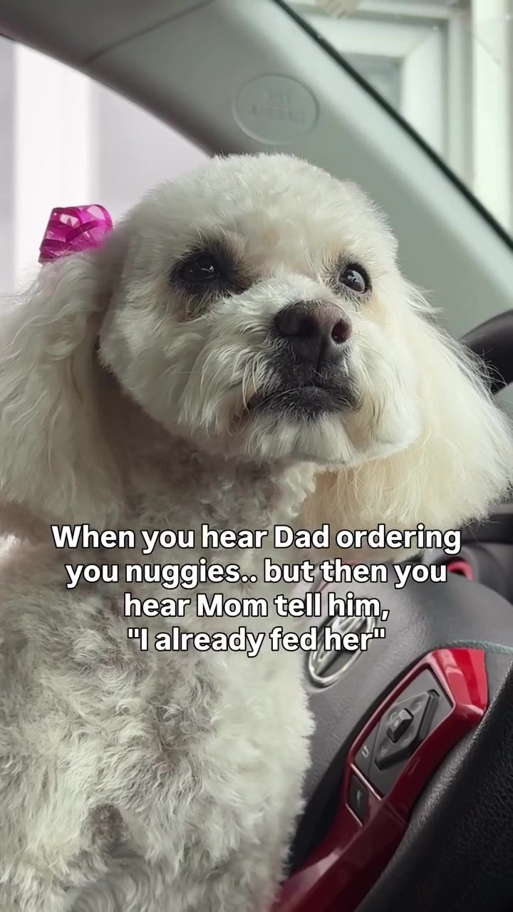@OnlyOneJudy