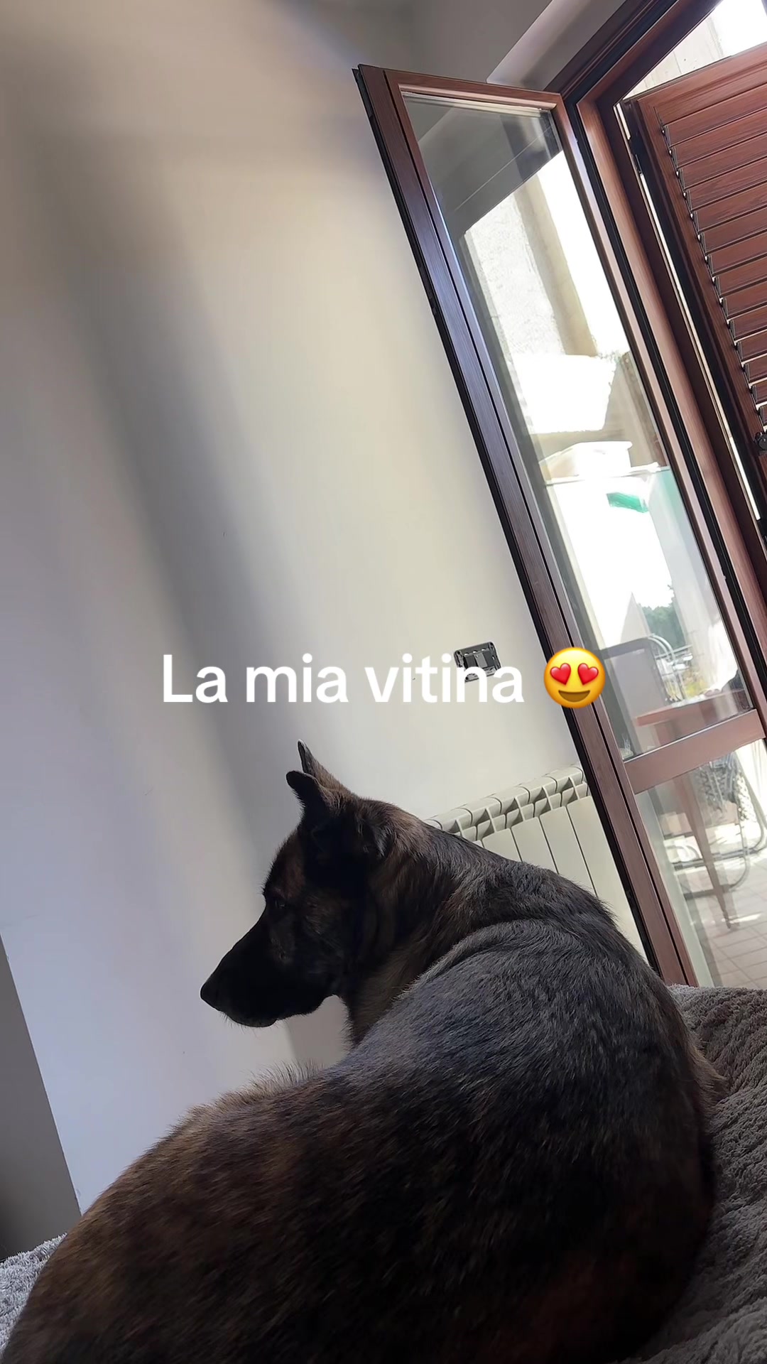 @Graziella Galati