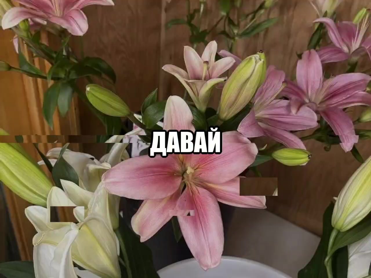 @звуки для липсингов