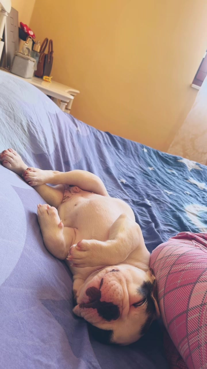 @pricatijana