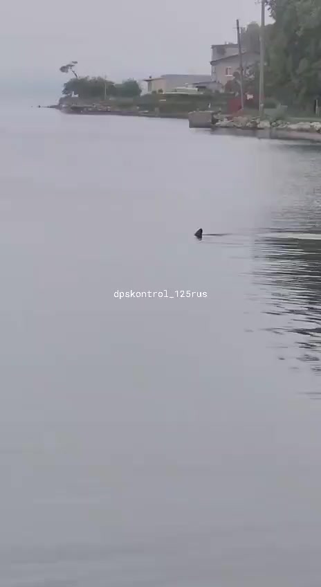 @Александр