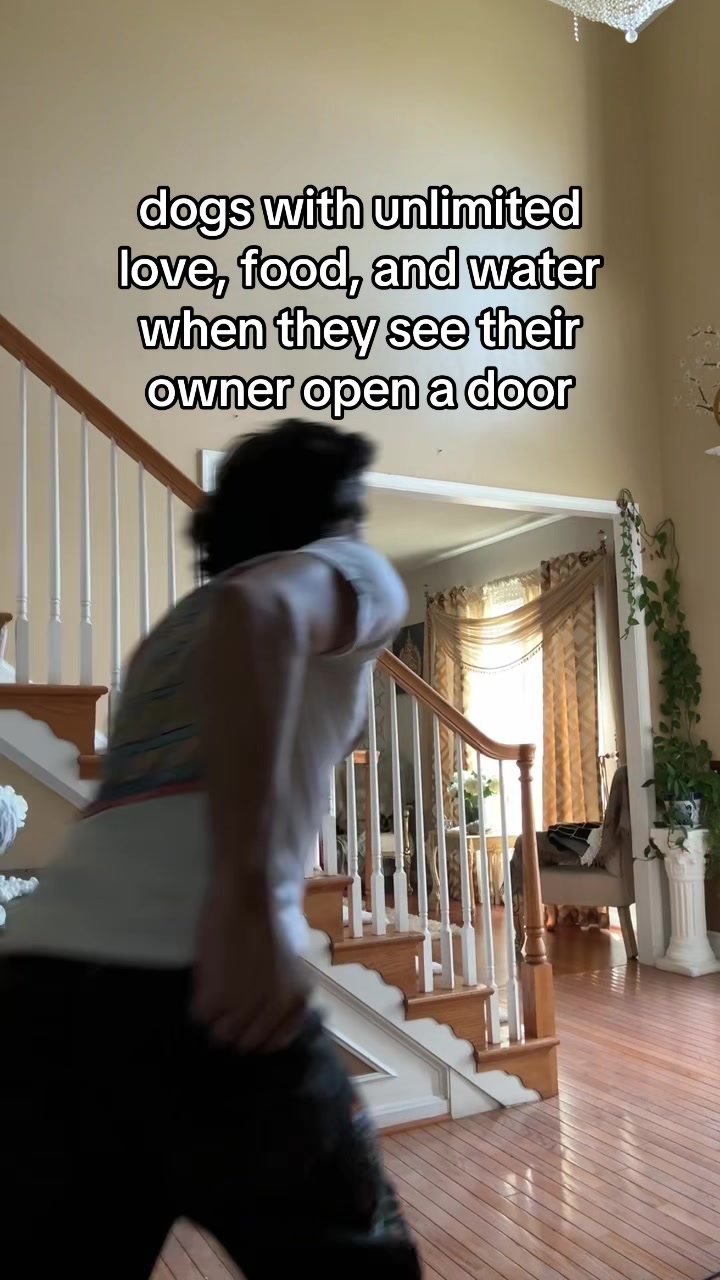 @JazzCat
