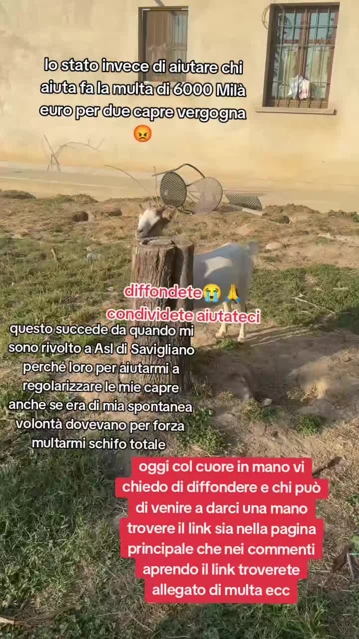 @KIRA❤️LEYLA💙