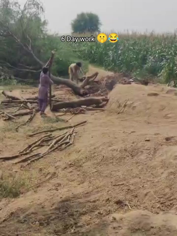 @nikka khokhar