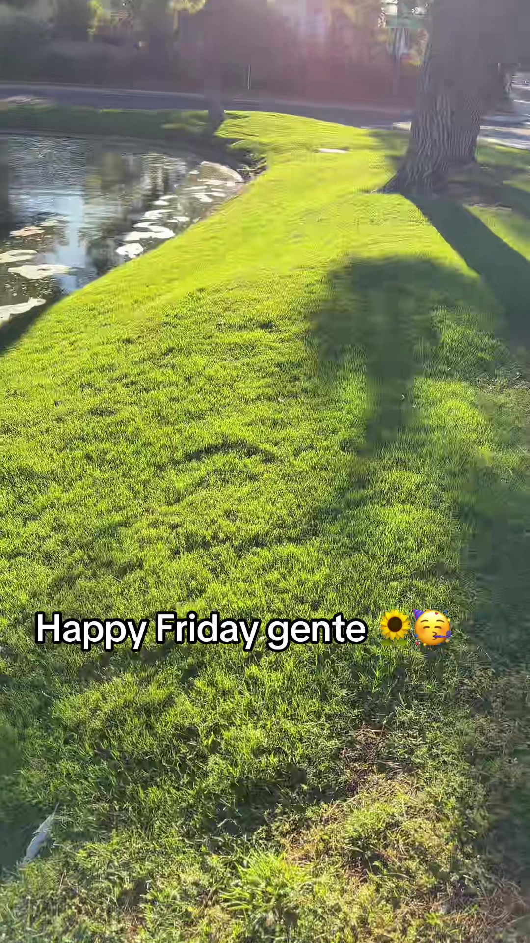 @Raulito Aguilar