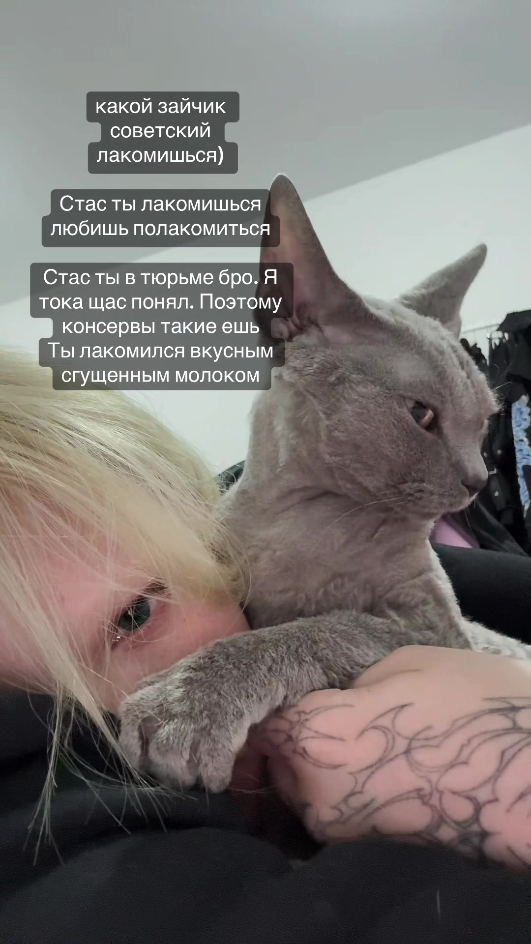 @ЛИСА РЭДБУЛЛОВНА