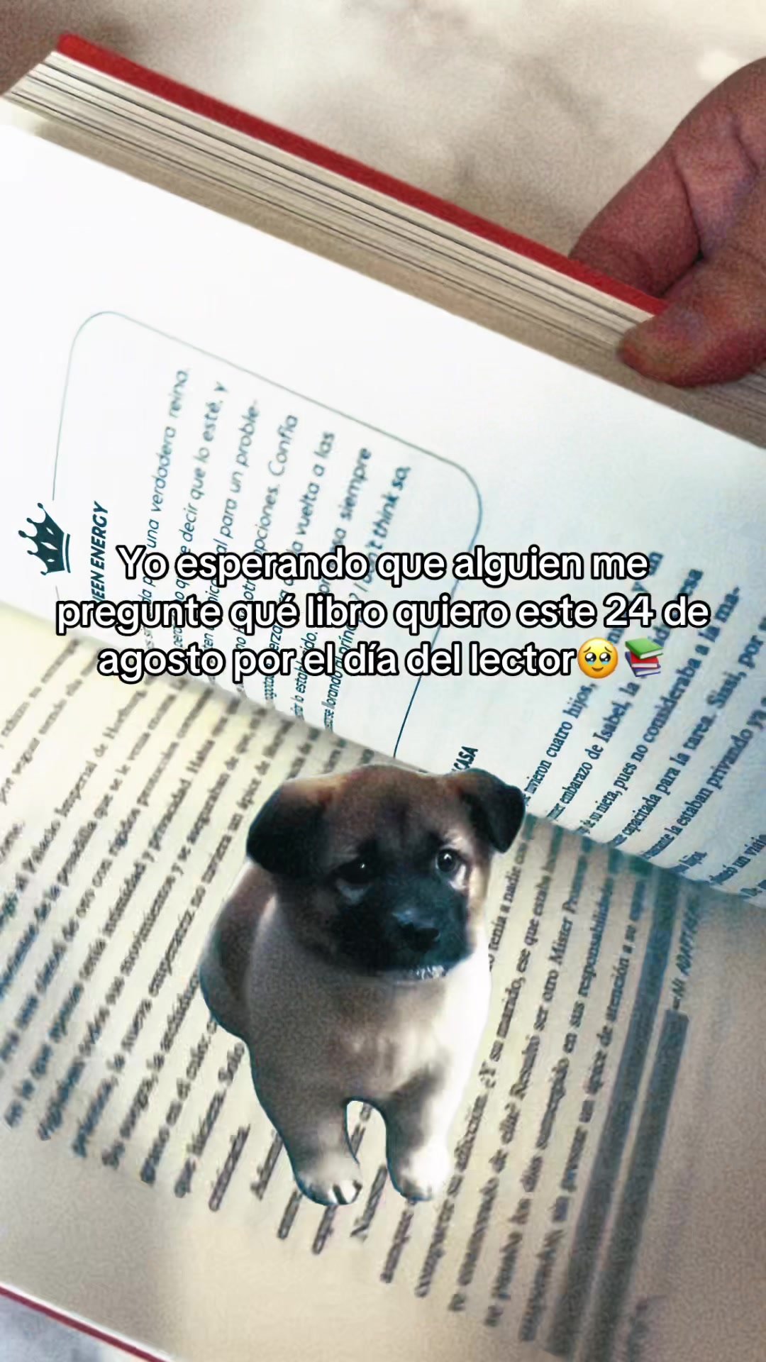 @Librería La Torrè