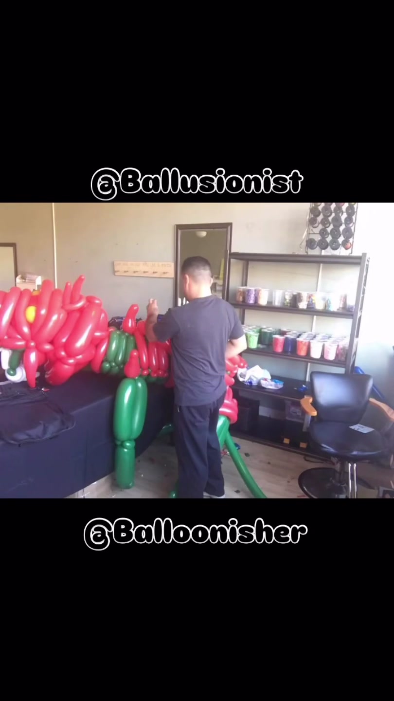 @Ballusionist