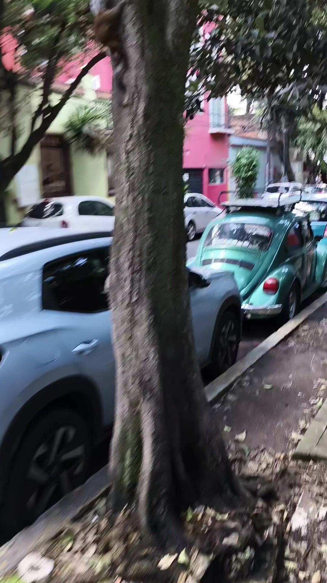 @SONIDO BATICHICA ST&Eacute;REO