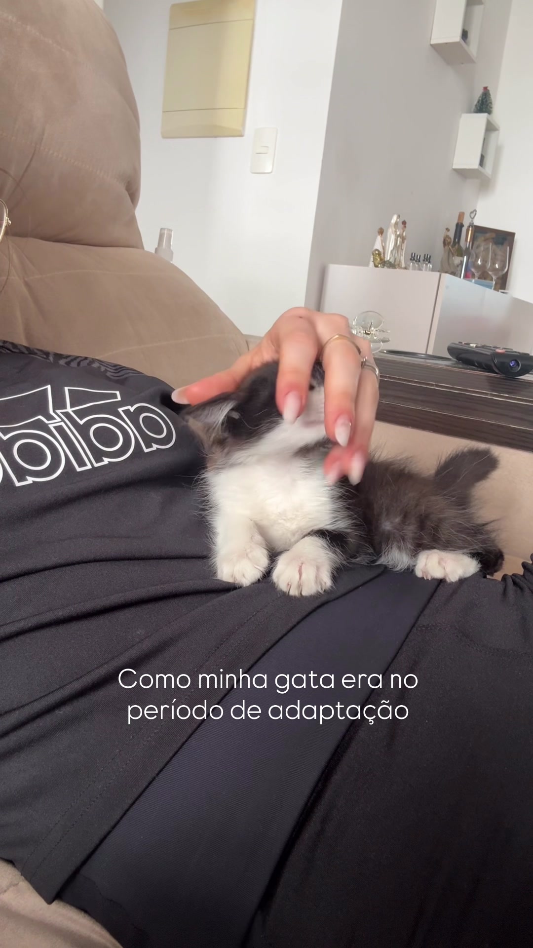 @Camille Lameu
