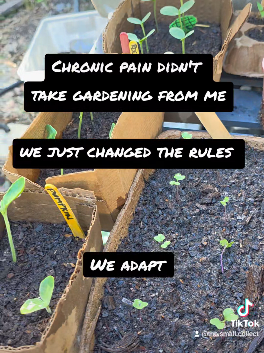 @Tezza- Chronic Pain Mum 🇦🇺