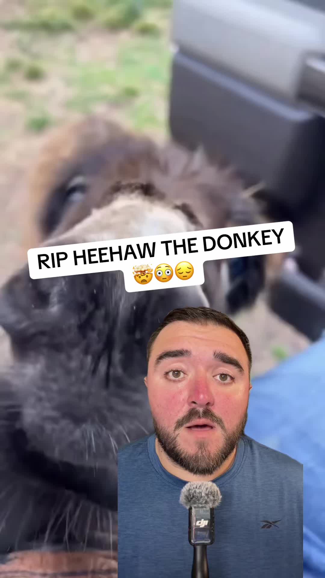 @IvanGtv