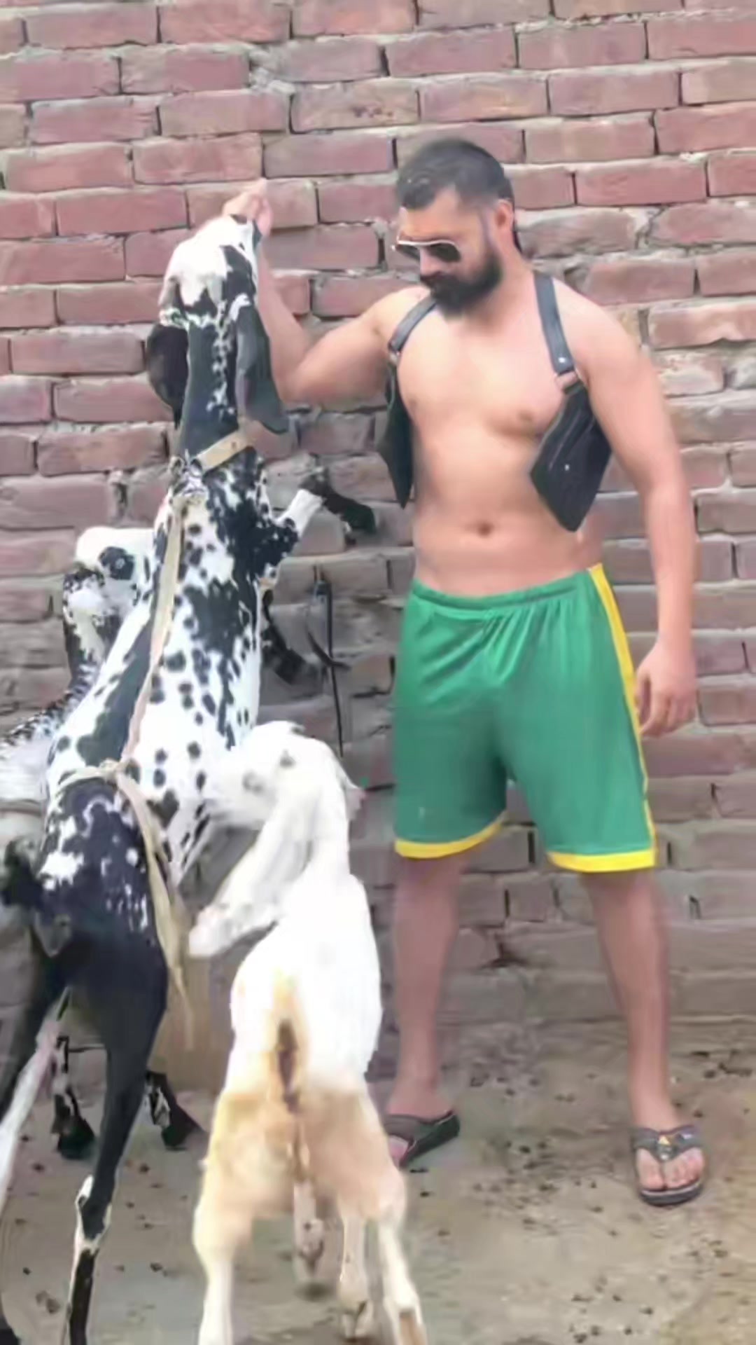 @Mr X 🇸🇦 🌈 🇵🇰