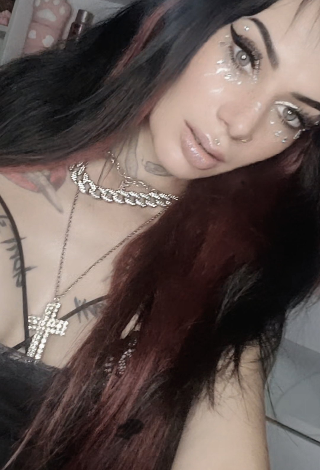 @♤🔥𝔇𝔦𝔟𝔦𝔞𝔫 ℭ𝔞𝔱 666🔥♤