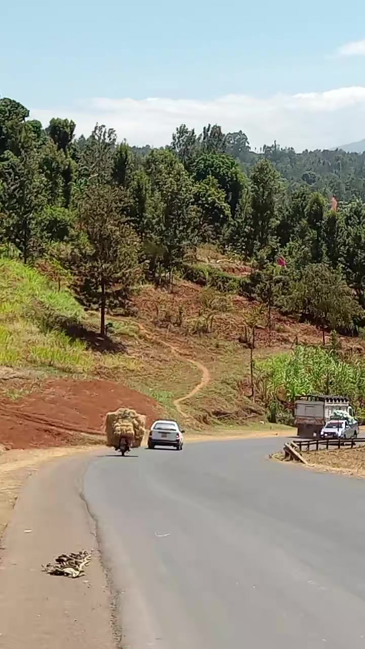 @MUTUMA®