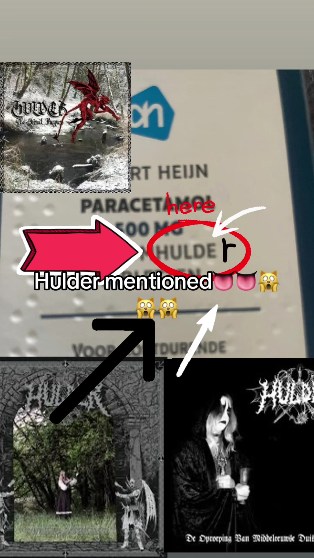 @𐕣 ⌗.𝓚𝓪𝓽.𐕣 𖤐 𐕣