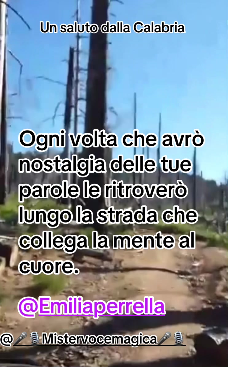 @Tot&ograve;ucurtu