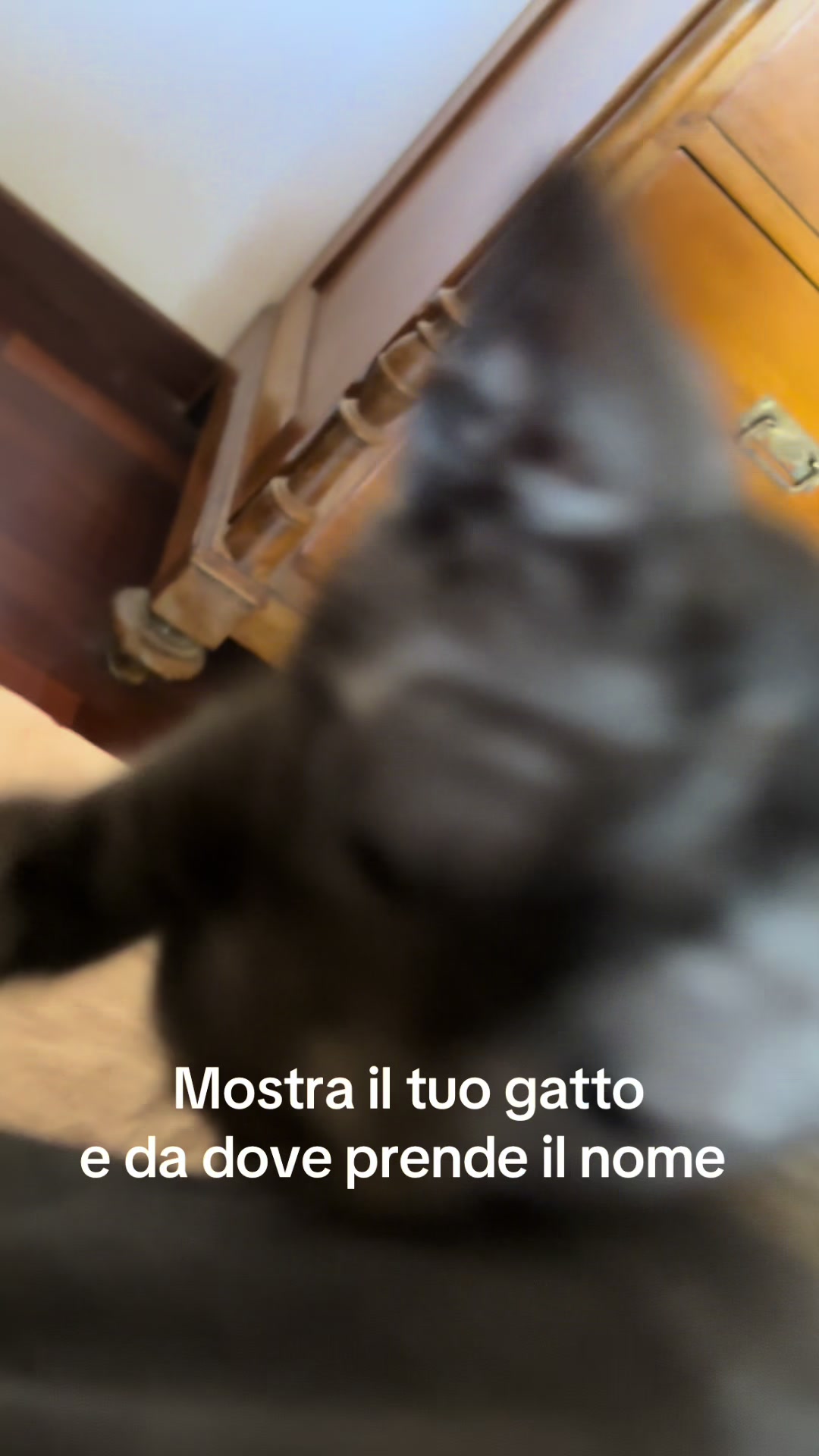 @Andrea DAlonzo58