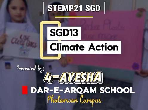 @Dar e Arqam Schools
