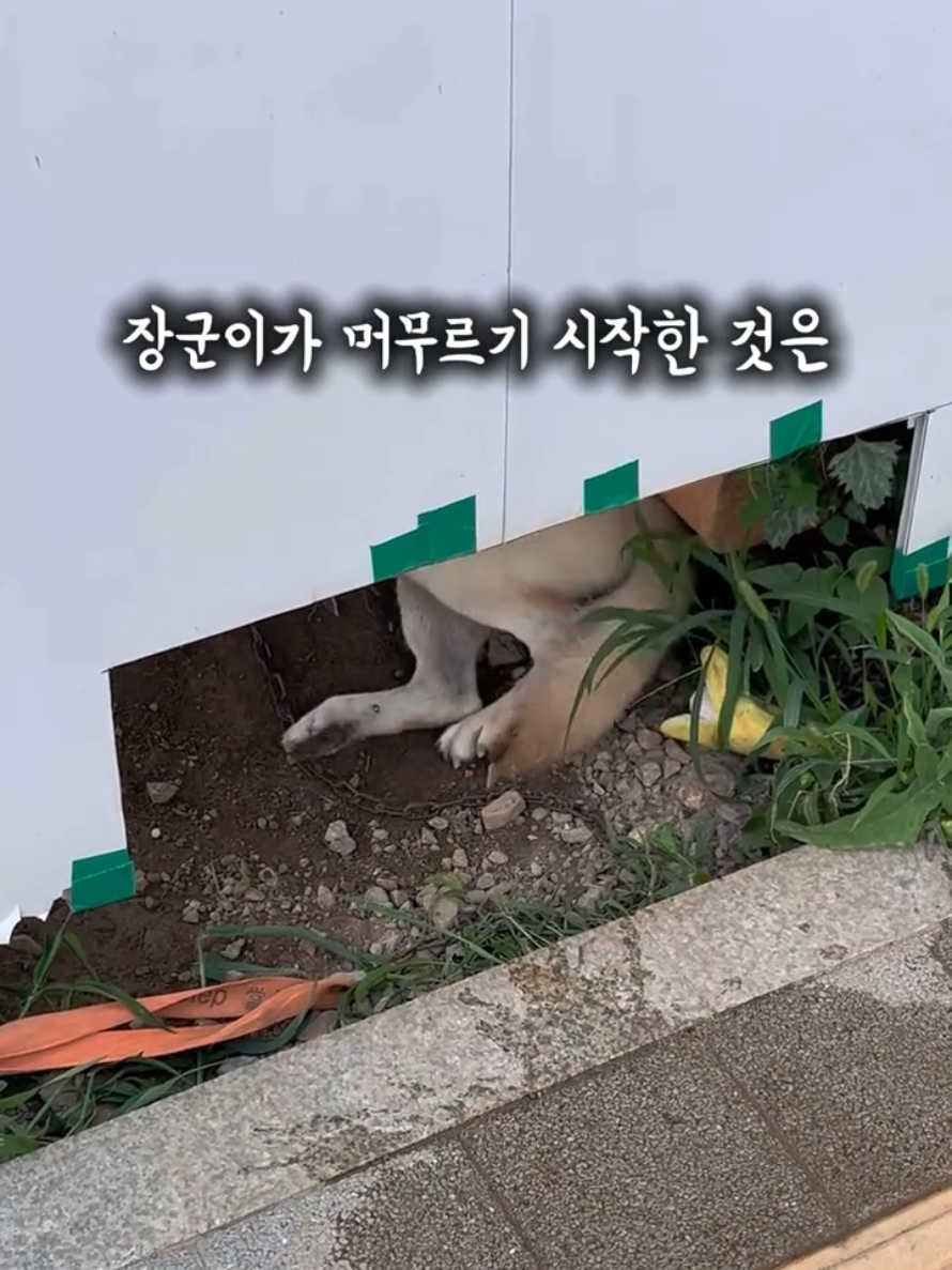 @하필유필
