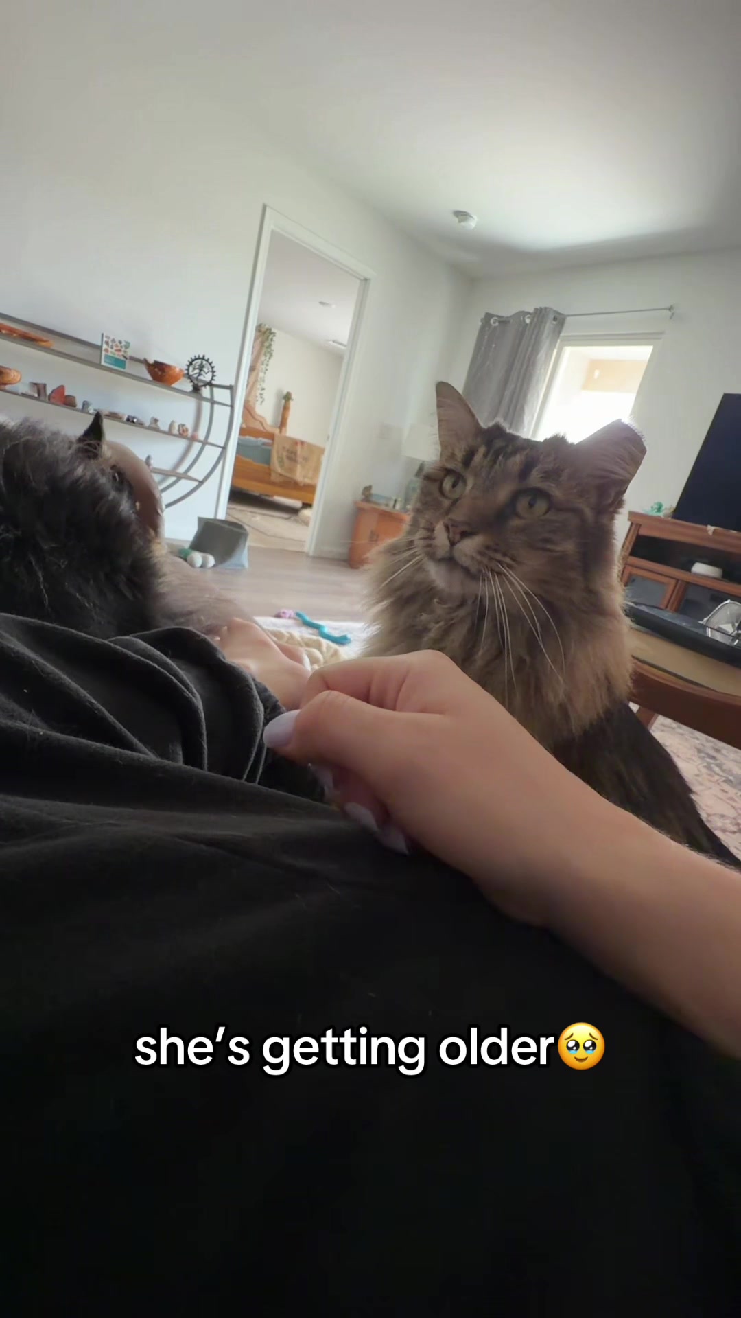 @alaxb