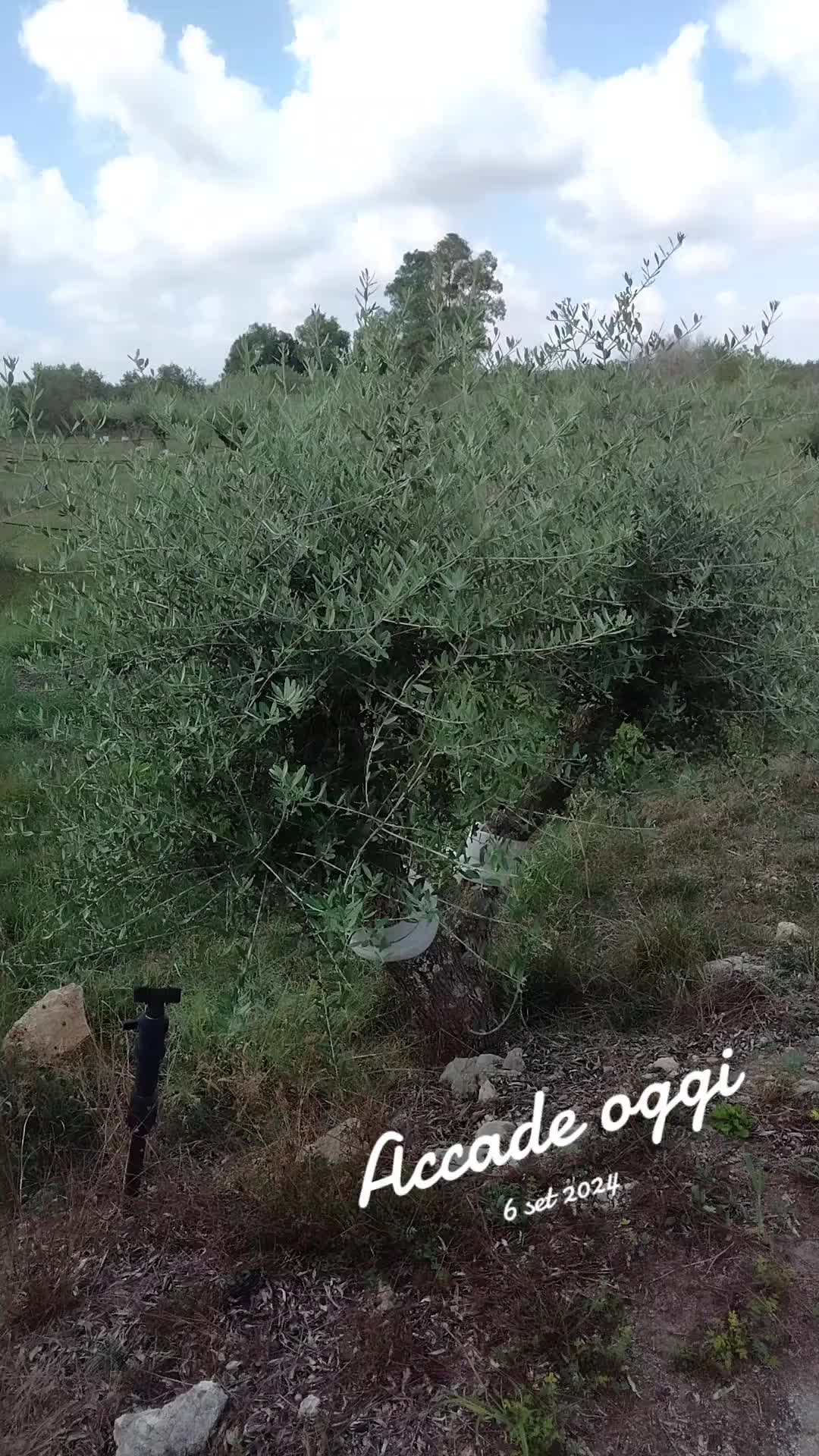 @Lu Salentinu