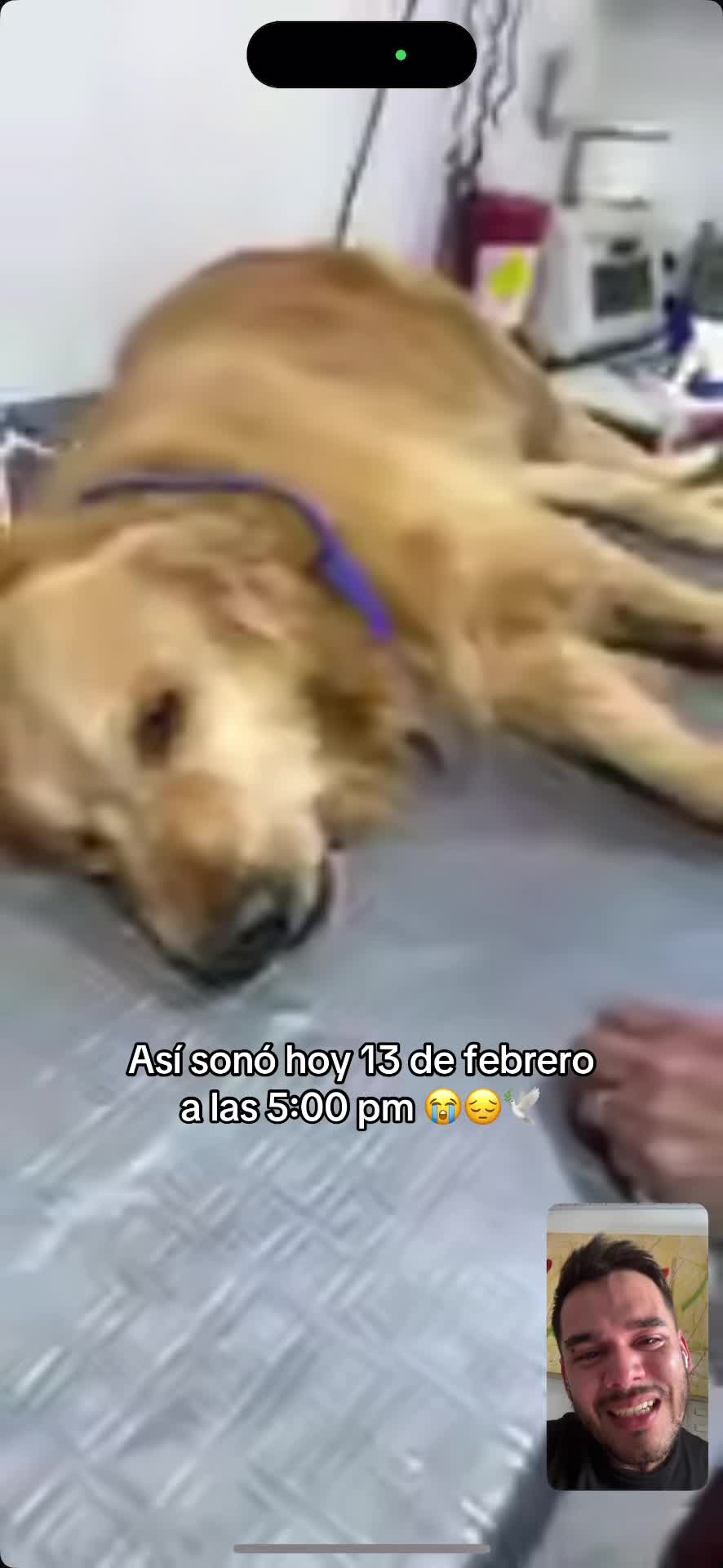 @Jhonn León 🦁