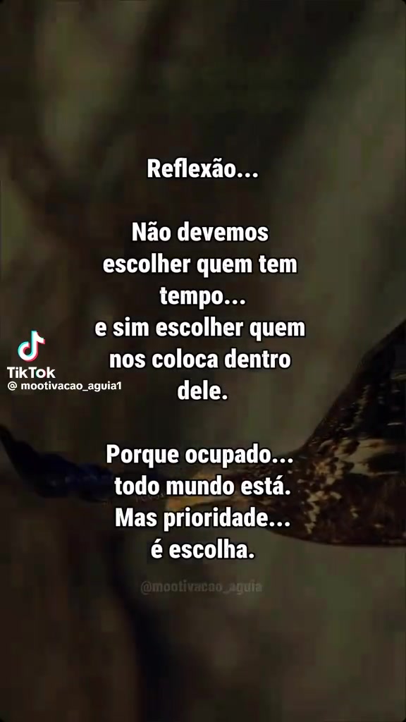 @mariadelourdessca4