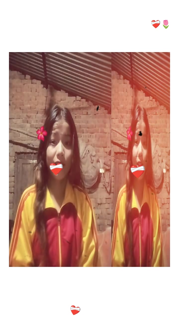 @gangu xetttri