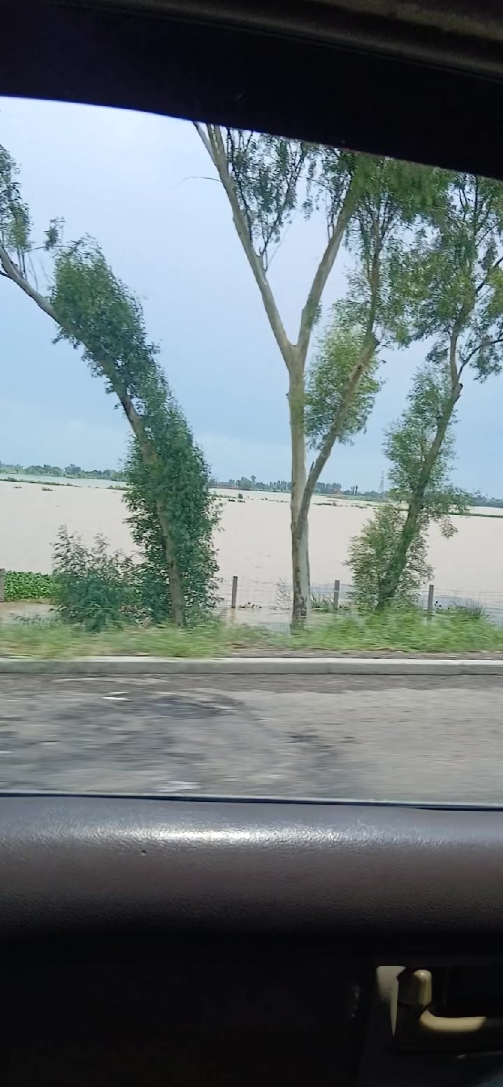 @Ch Adeel Kamboh