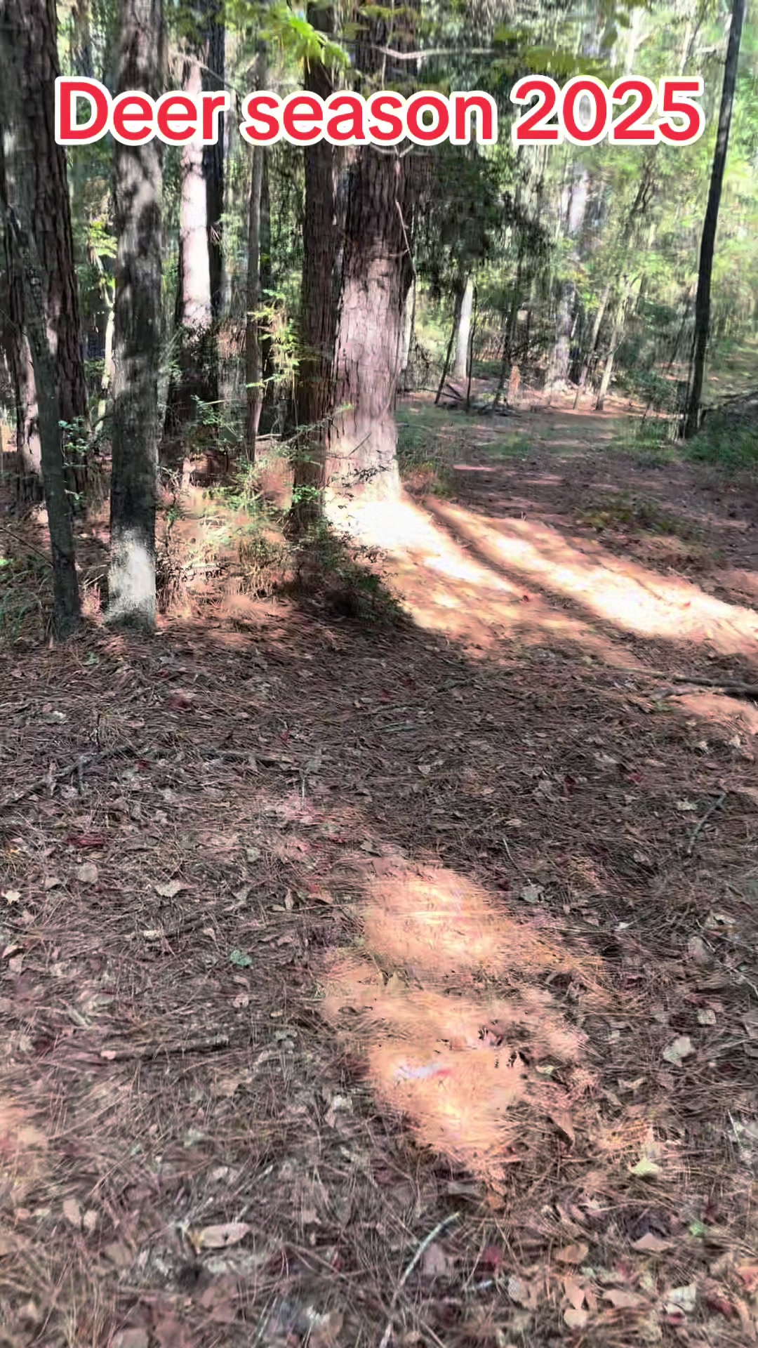 @Curvey Country