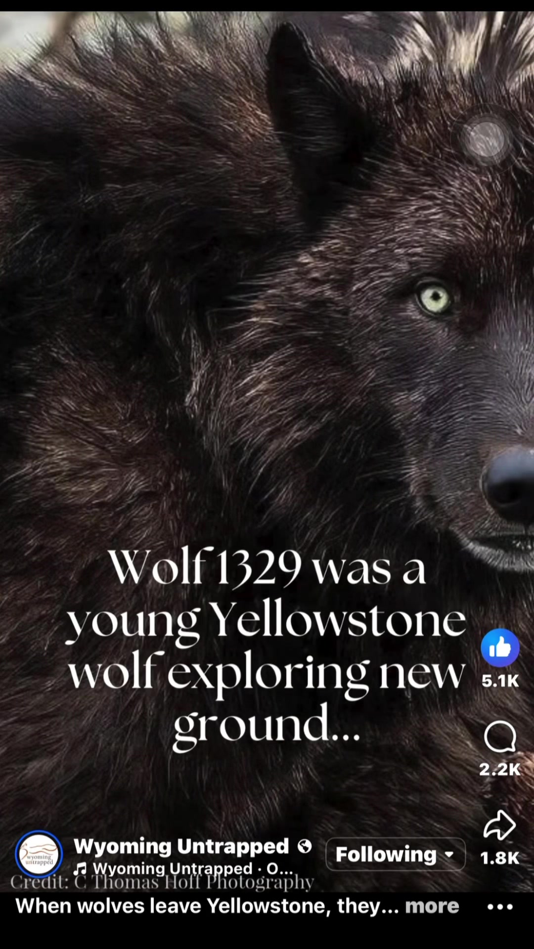 @jen_wyoming_viking